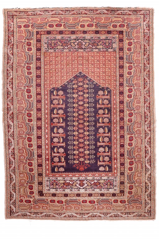 Shirvan Carpet