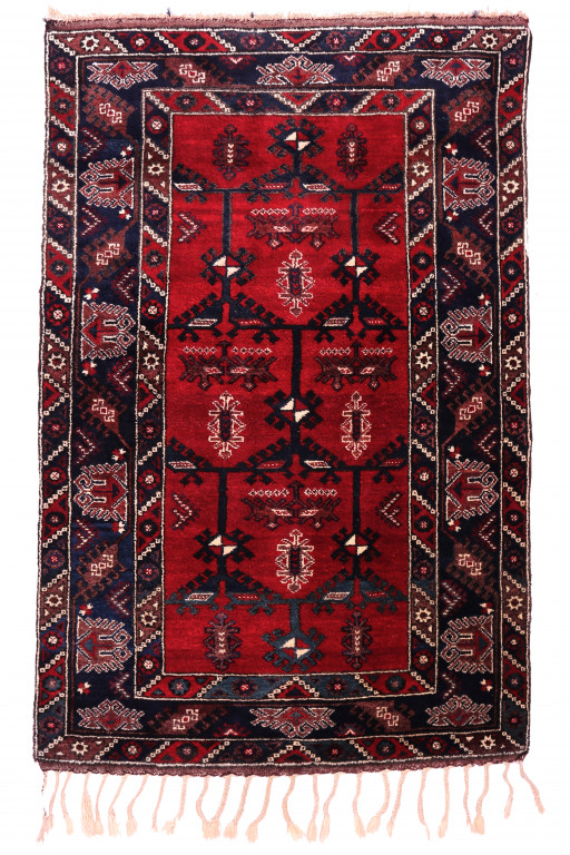 Shirvan Carpet