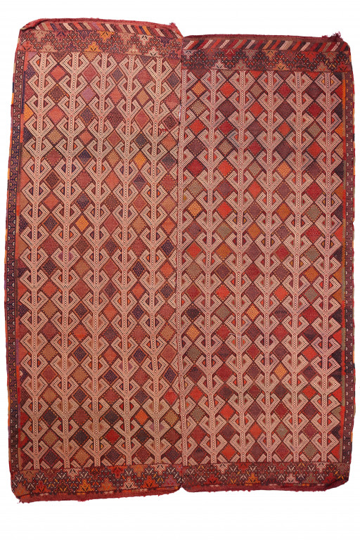 Shirvan Carpet